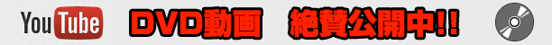 DVD仿